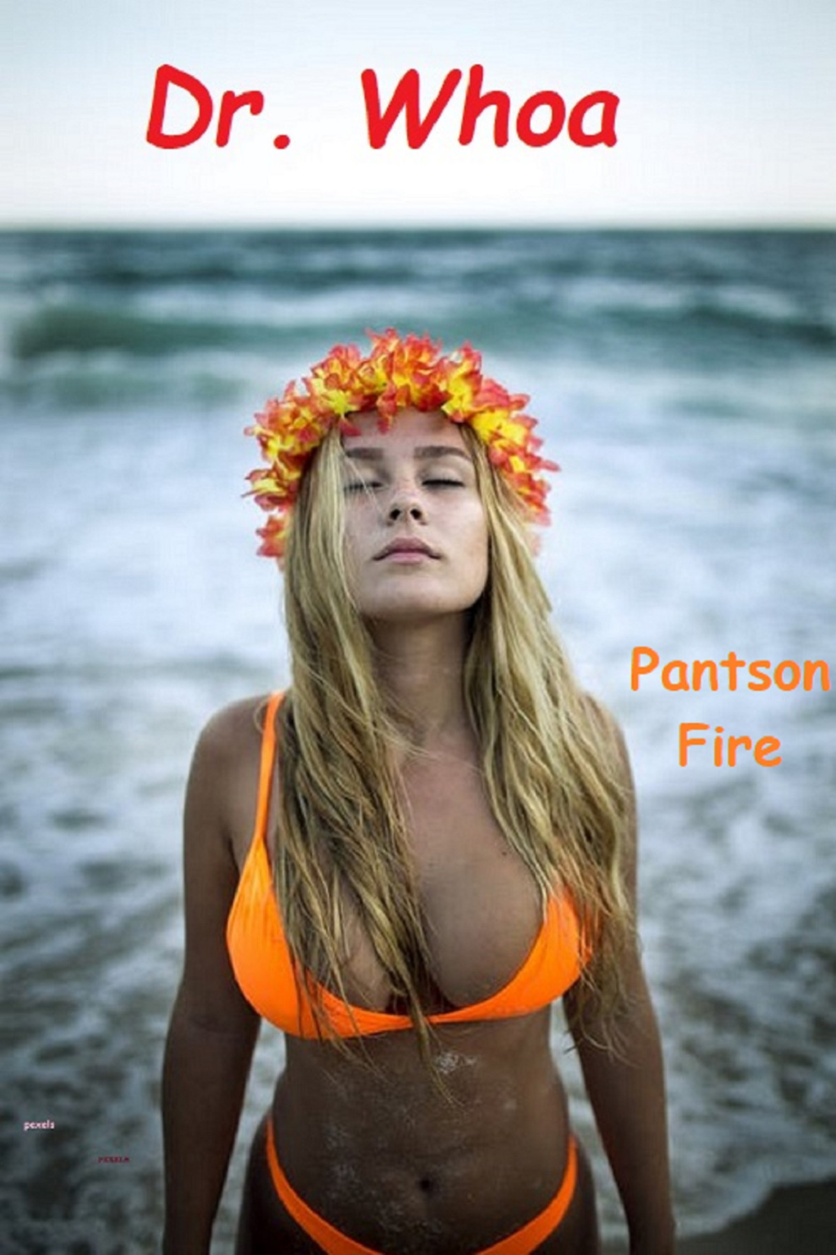 Dr Whoa Fire Pantson