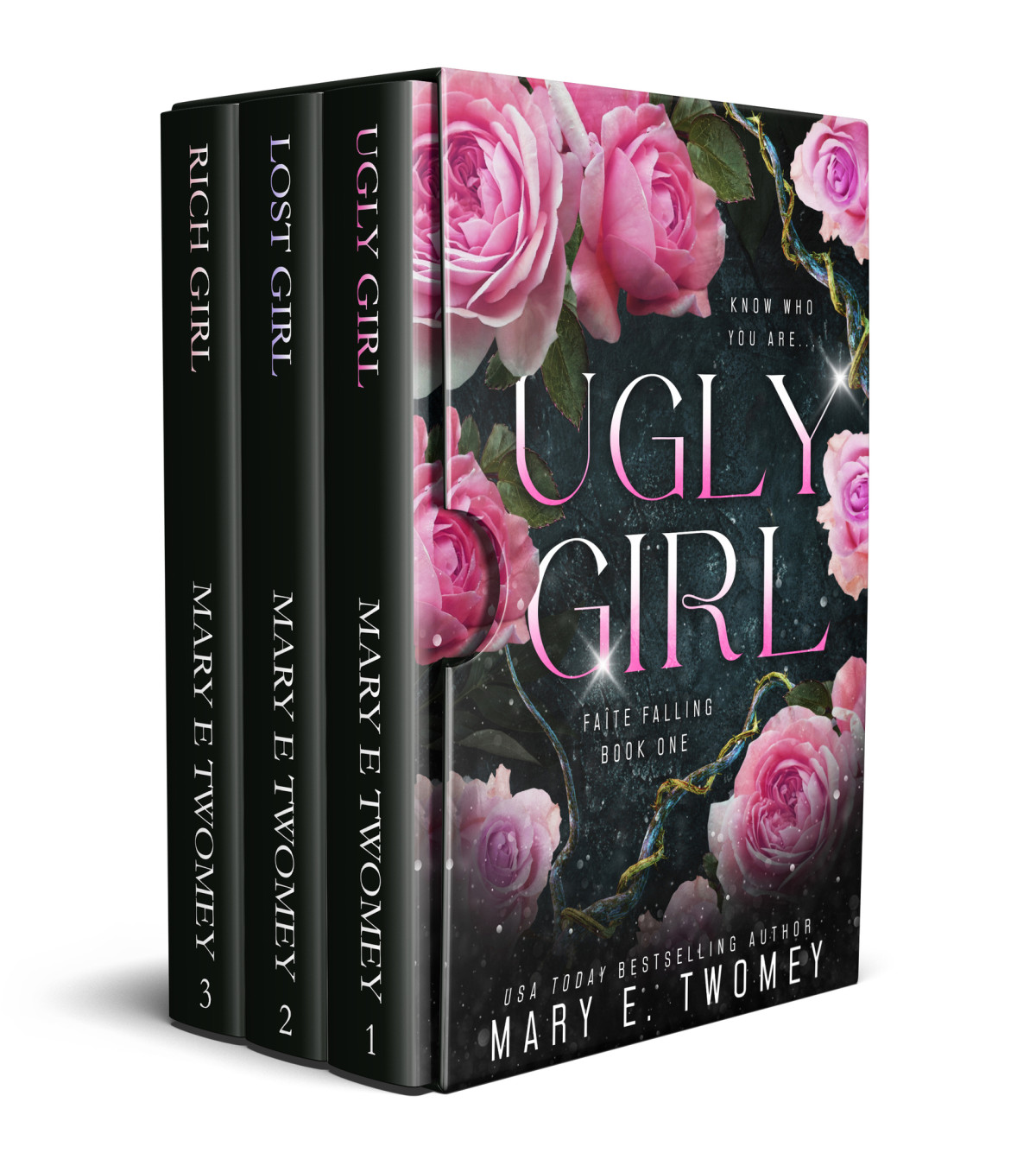 Faite Books 13 Bundle Including Ugly Girl Lost Girl And Rich Girl Twomey