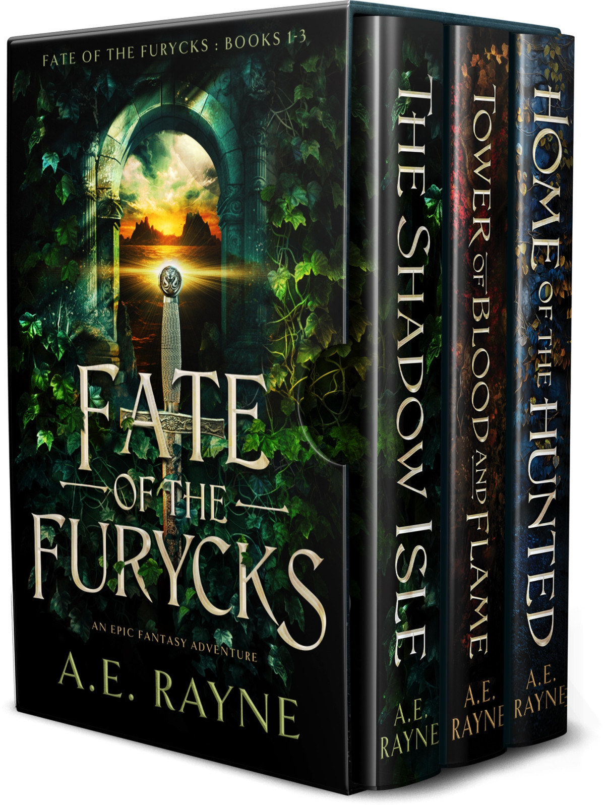 Fate Of The Furycks An Epic Fantasy Adventure Box Set Books 13 Rayne