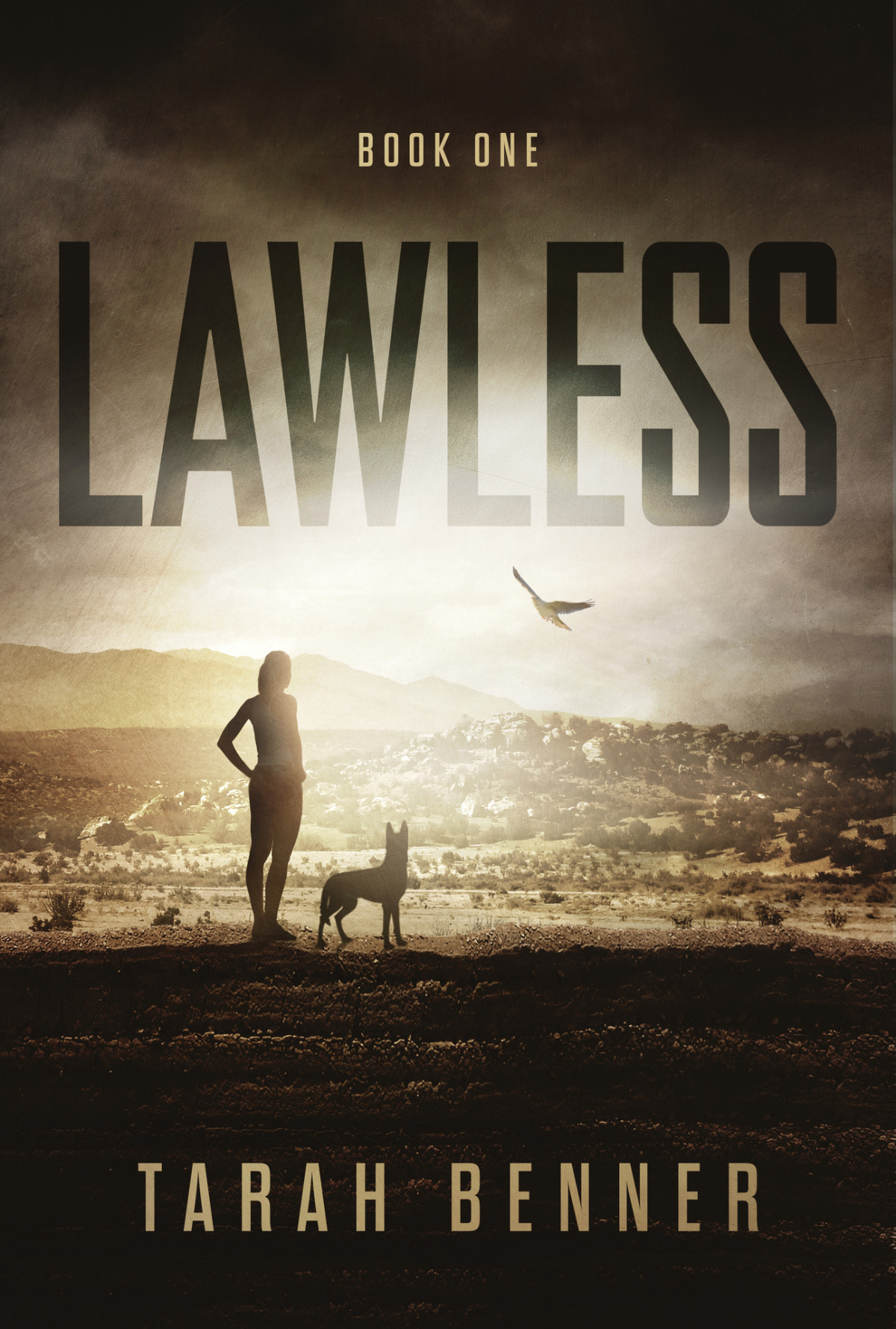 Lawless Lawless Saga Book 1 Benner Tarah