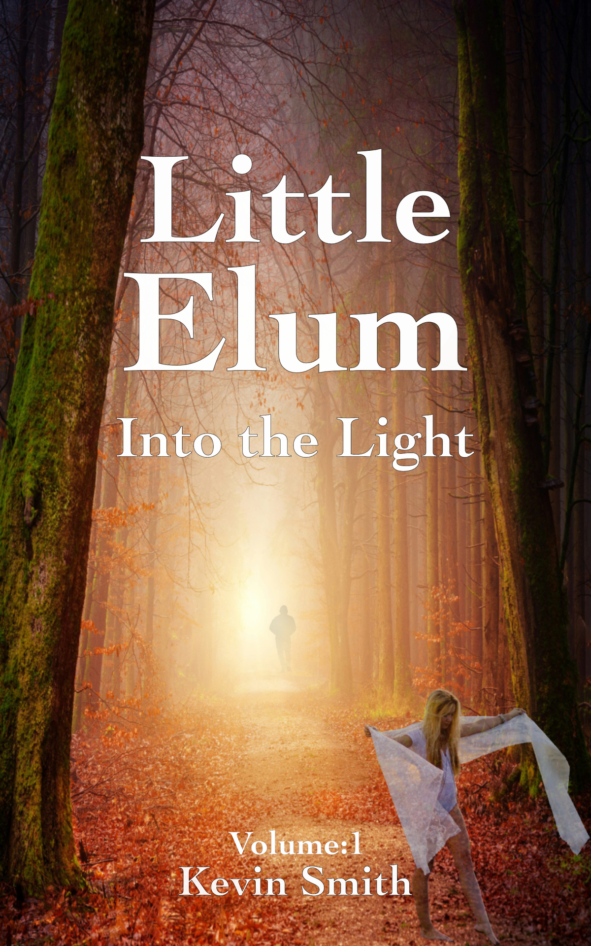 Little Elum Into The Light A Visionary Scifi Exploring Cosmic Consciousness Metaphysics And Alien Contact Smith