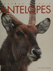 Antelopes Riggs Kate
