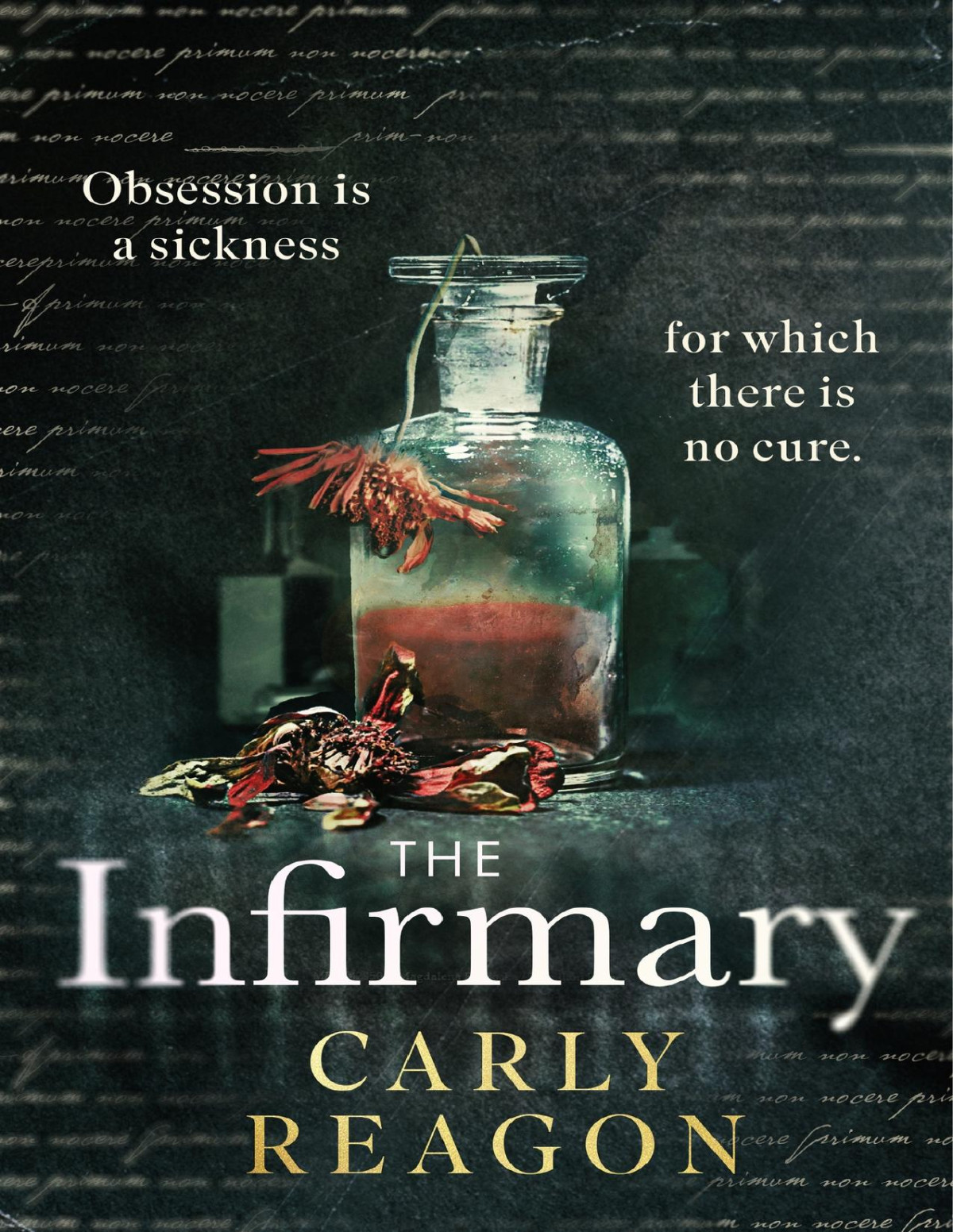 The Infirmary The Chilling New Gothic Thriller From The Author Of The Toll House Perfect For Halloween 2025 Carly Reagon
