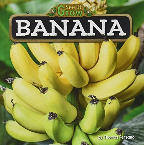 Banana Illustrated Thomas Persano