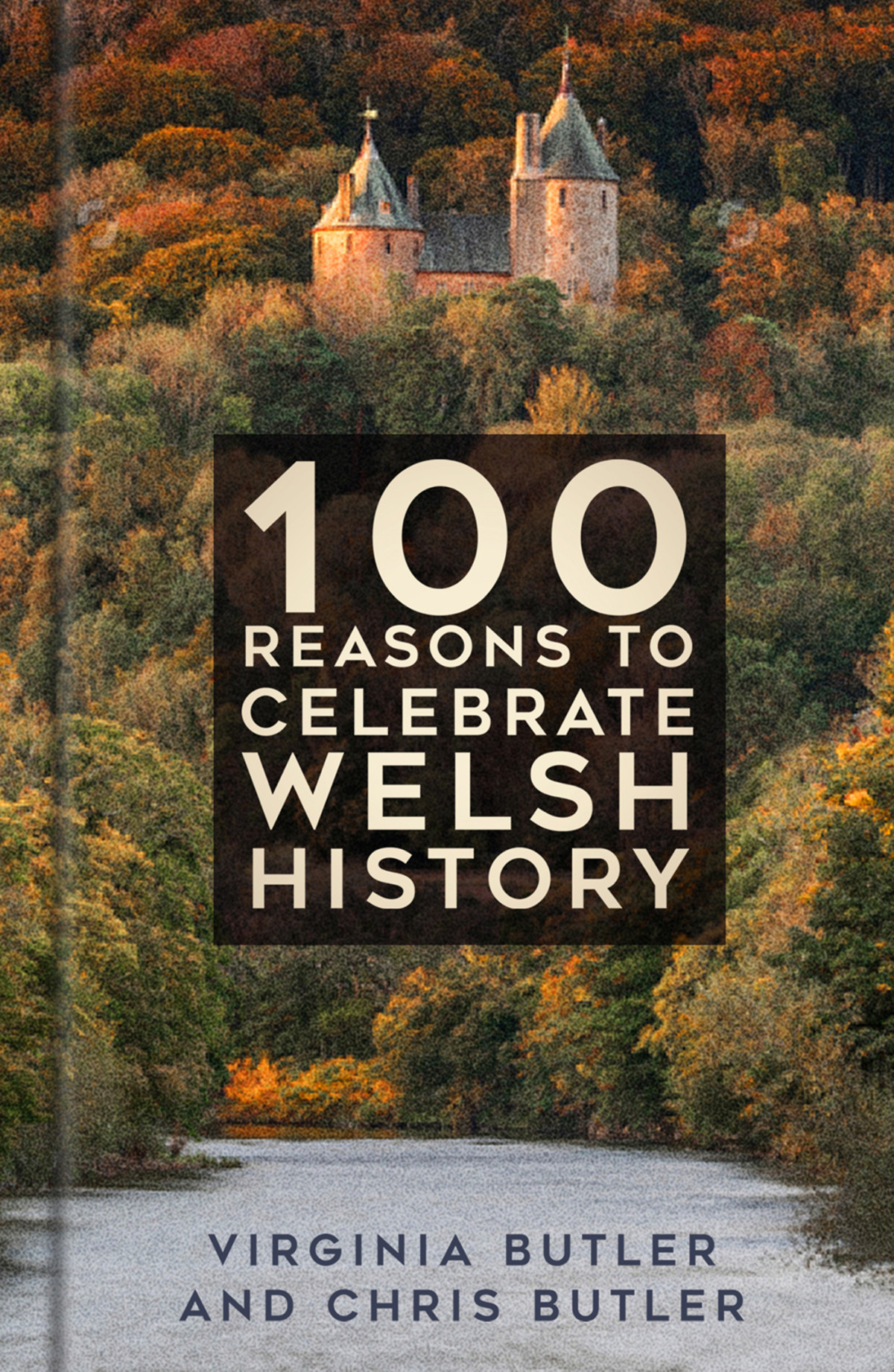 100 Reasons To Celebrate Welsh History 1st Edition Virginia Butler And Chris Butler