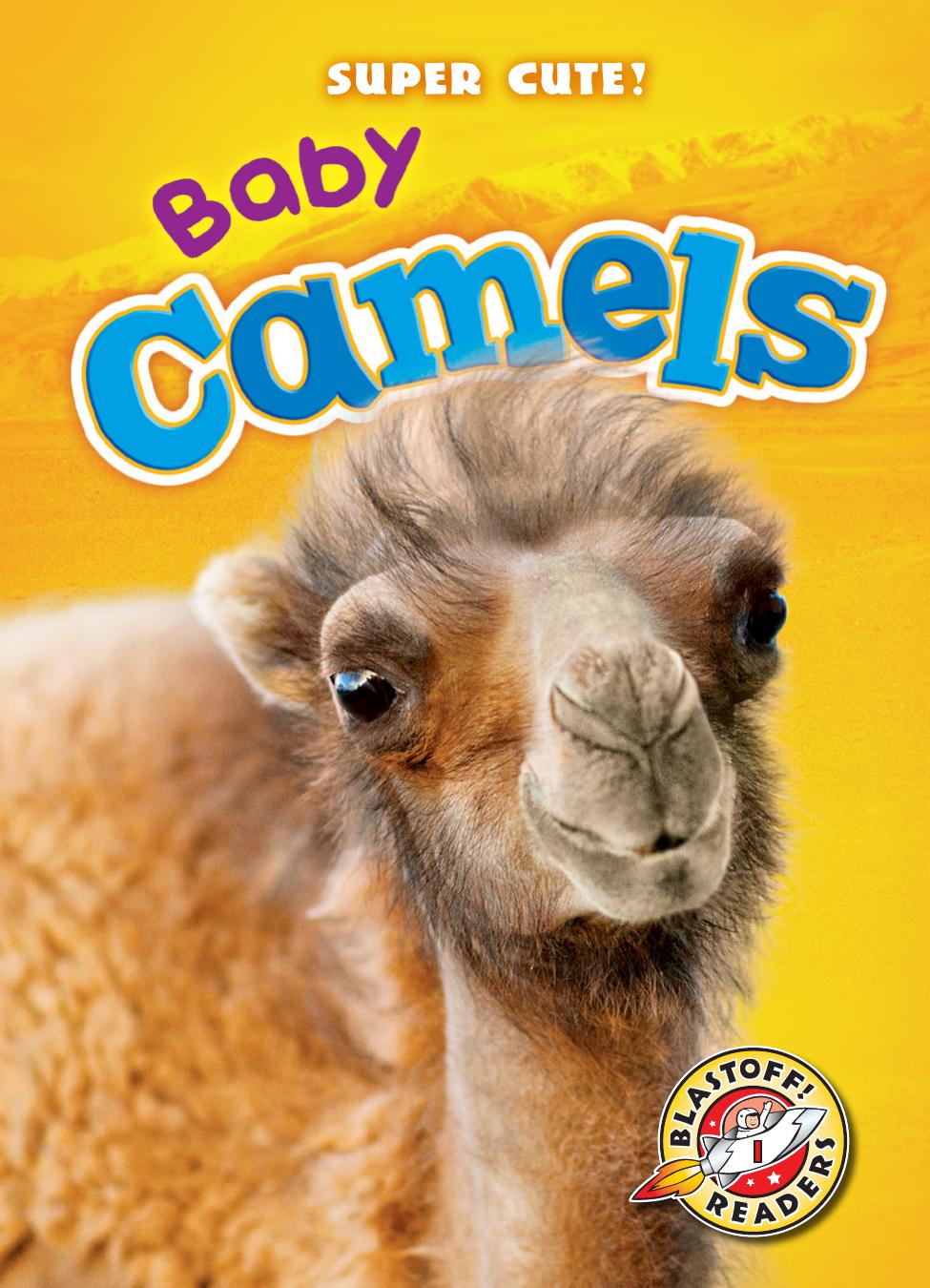 Baby Camels Megan Borgertspaniol
