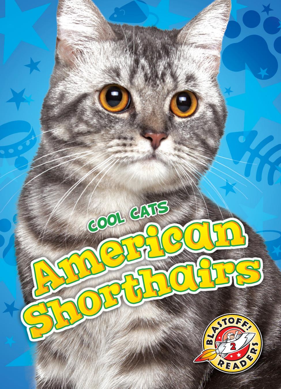 Cool Cats American Shorthairs Christina Leaf