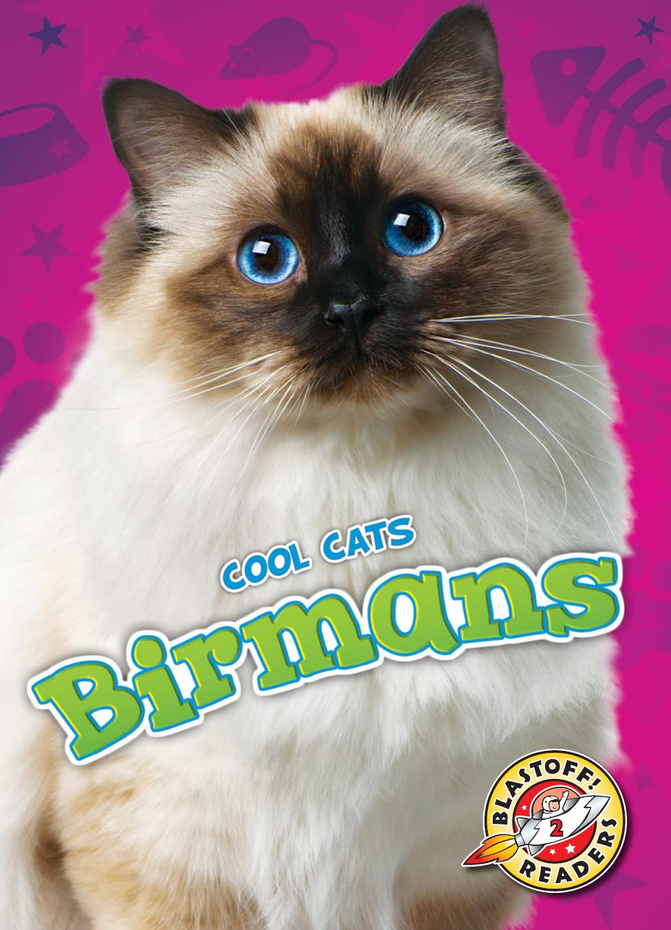 Cool Cats Birmans Christina Leaf