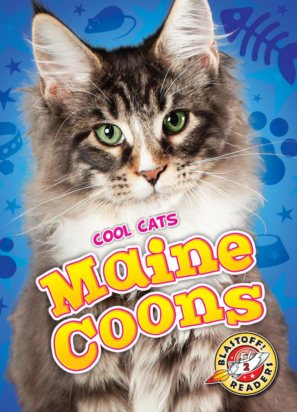 Cool Cats Maine Coons Rebecca Felix