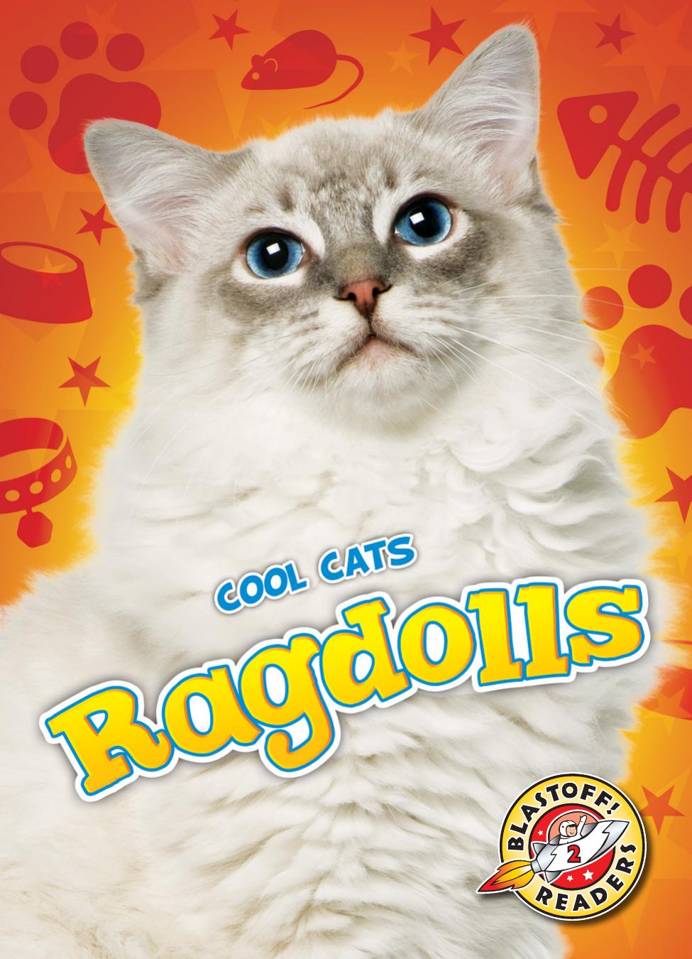Cool Cats Ragdolls Rebecca Felix