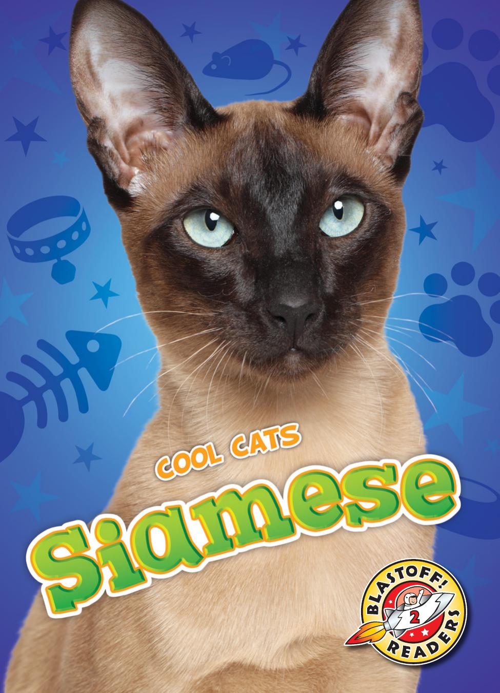 Cool Cats Siamese Rebecca Felix