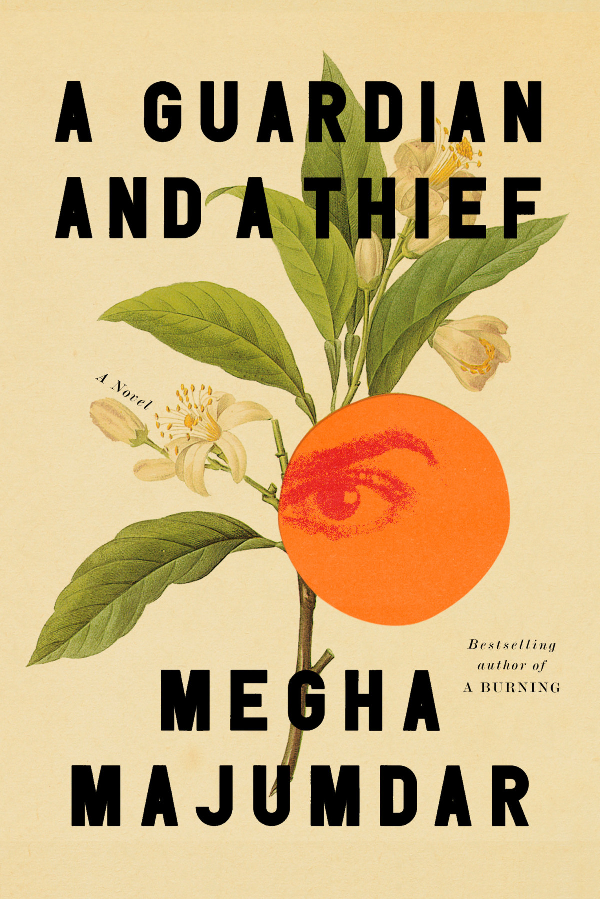 A Guardian And A Thief A Novel Megha Majumdar