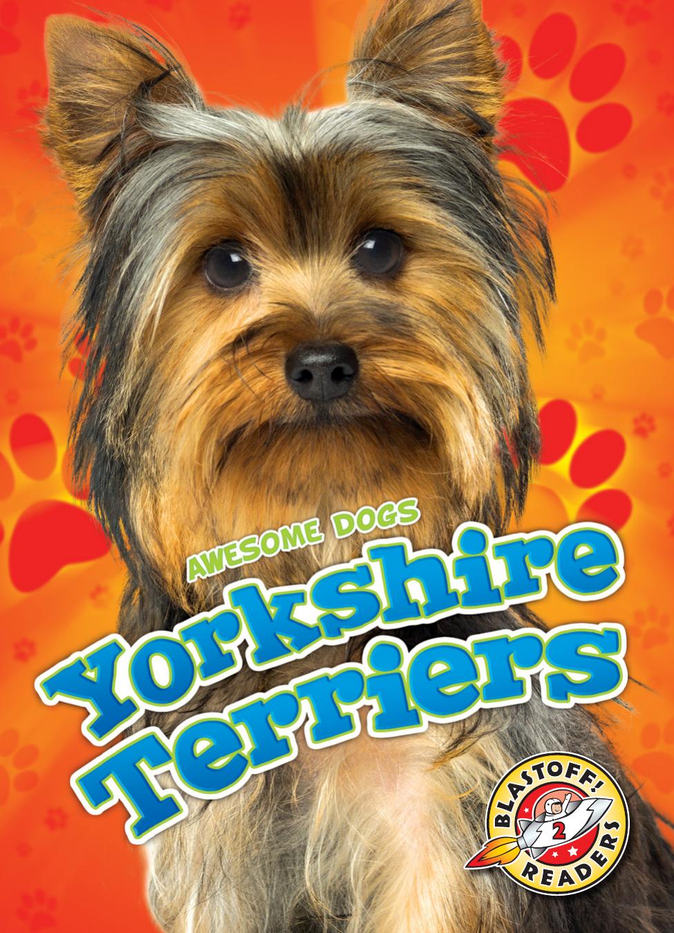 Yorkshire Terriers Mari Schuh