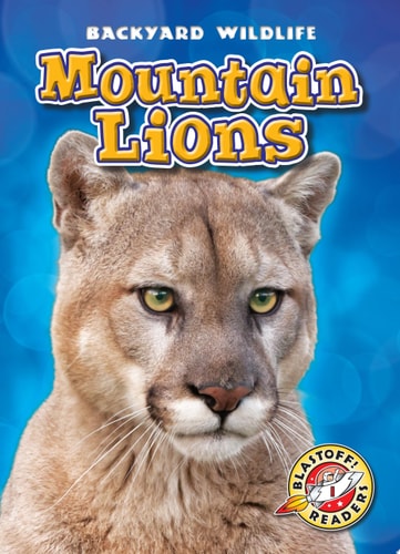 Mountain Lions Kristin Schuetz