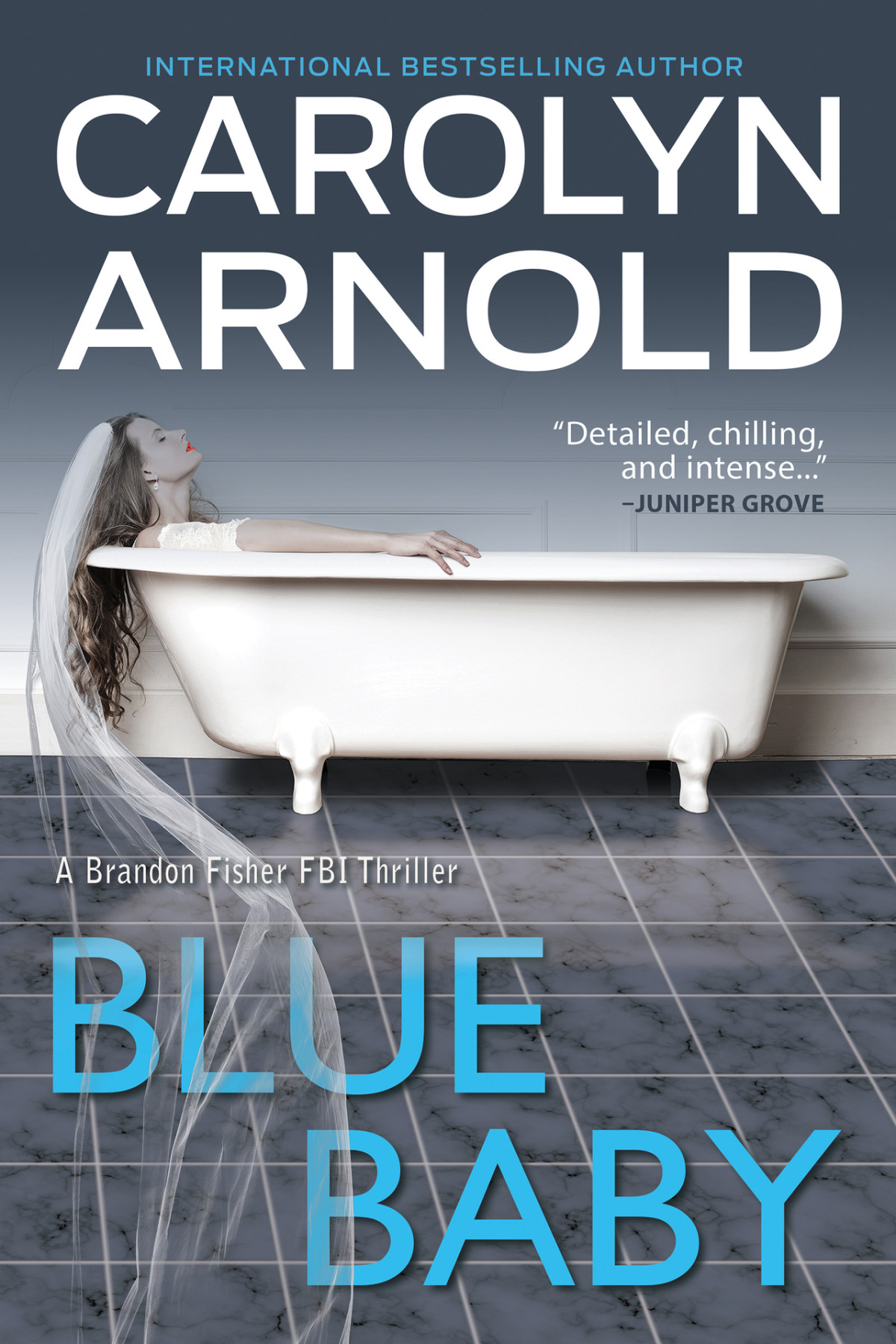 Brandon Fisher Fbi Series 04 Blue Baby Arnold Carolyn