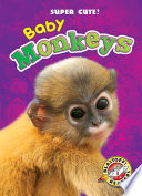 Baby Monkeys Kari Schuetz