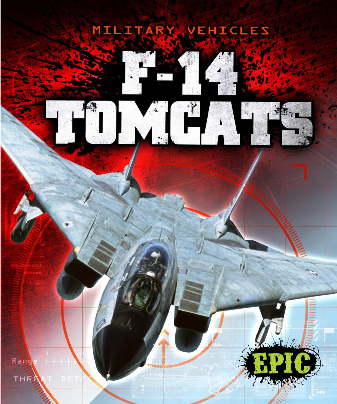 F14 Tomcats Denny Von Finn