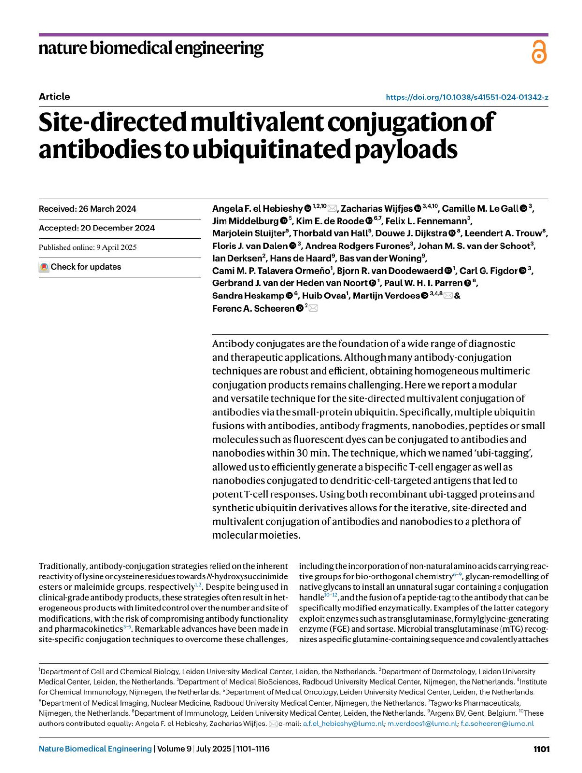 Sitedirected Multivalent Conjugation Of Antibodies To Ubiquitinated Payloads Angela F El Hebieshy Zacharias Wijfjes Camille M Le Gall Jim Middelburg Kim E Roode Felix L Fennemann Marjolein Sluijter Thorbald Hall Douwe J Dijkstra Leendert A Trouw Floris J Dalen Andrea Rodgers Furones Johan M S