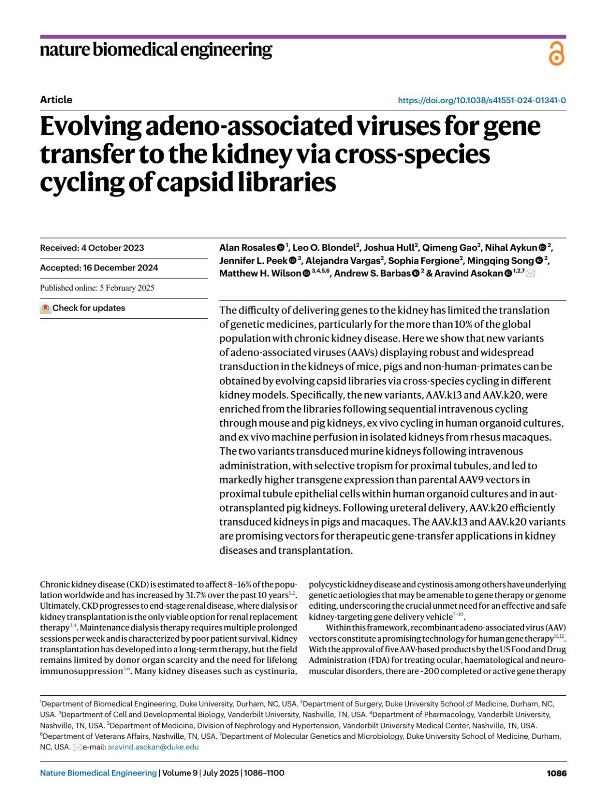 Evolving Adenoassociated Viruses For Gene Transfer To The Kidney Via Crossspecies Cycling Of Capsid Libraries Alan Rosales Leo O Blondel Joshua Hull Qimeng Gao Nihal Aykun Jennifer L Peek Alejandra Vargas Sophia Fergione Mingqing Song Matthew H Wilson Andrew S Barbas Aravind Asokan