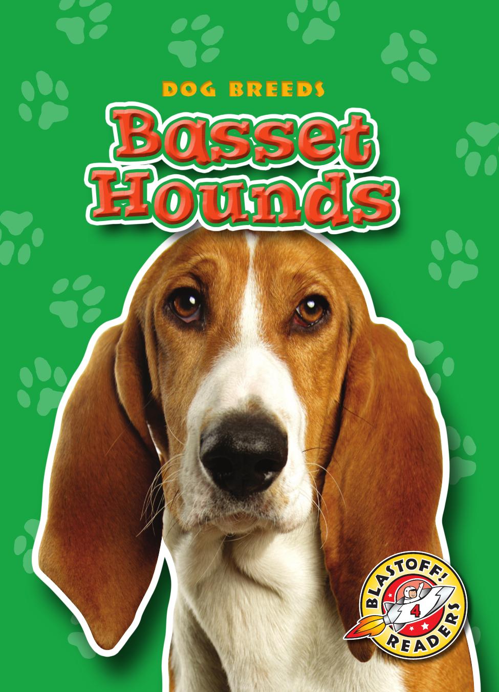 Basset Hounds Sara Green