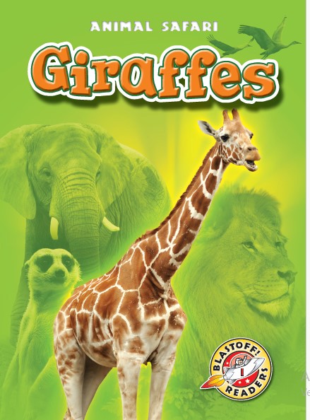 Giraffes 1st Edition Kari Schuetz