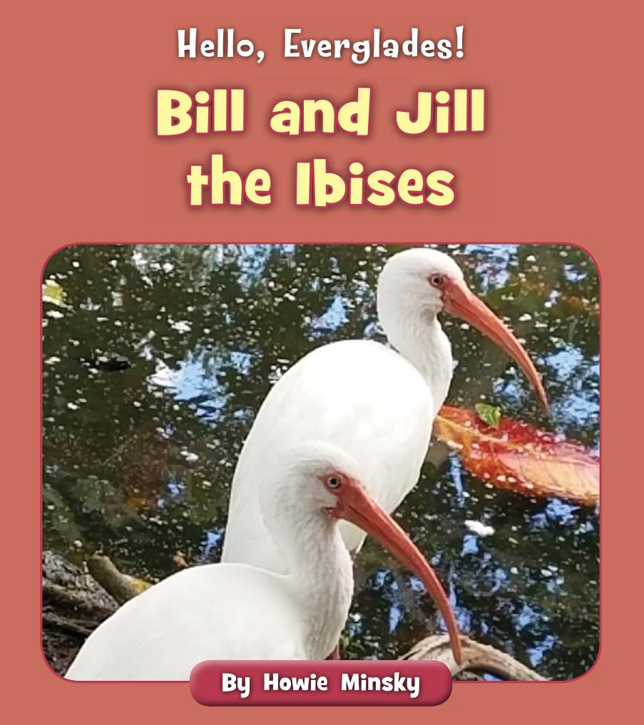 Bill And Jill The Ibises Howie Minsky