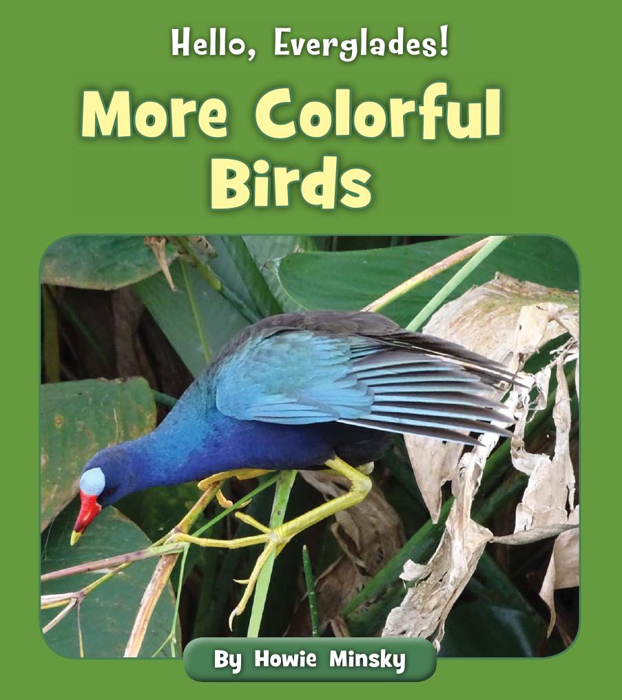 More Colorful Birds Howie Minsky