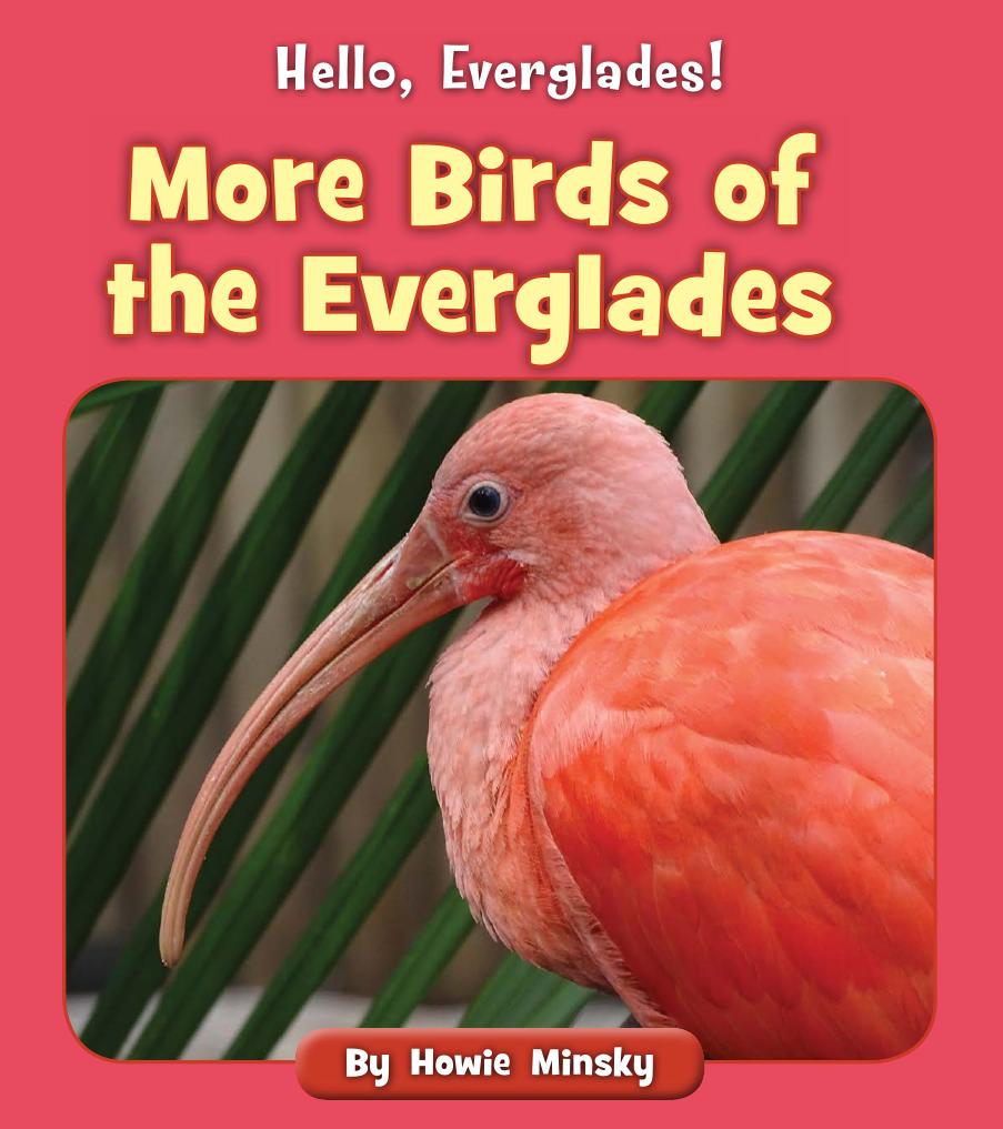 Hello Everglades More Birds Of The Everglades Howie Minsky