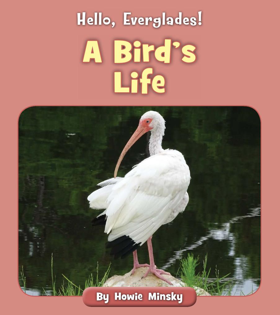 Hello Everglades A Birds Life Howie Minsky