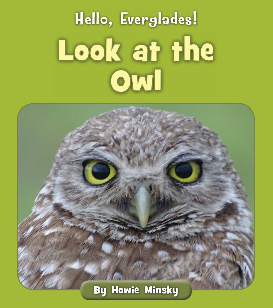 Hello Everglades Look At The Owl Howie Minsky