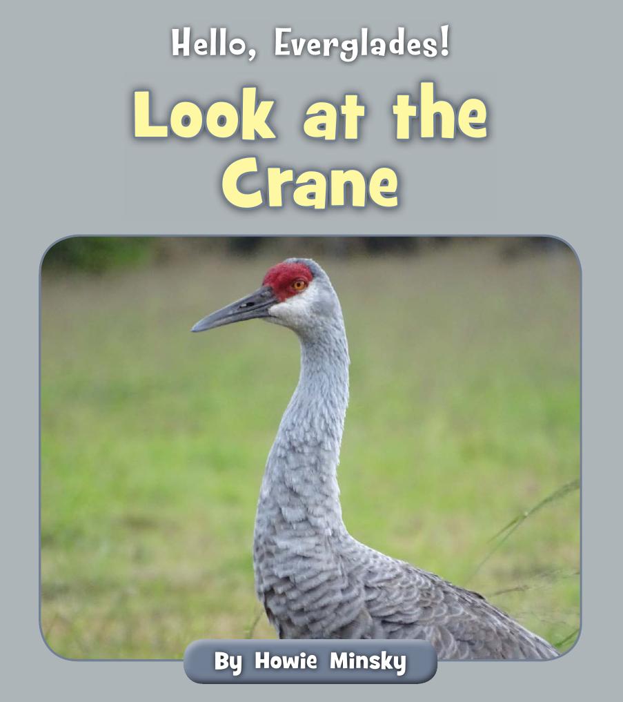 Hello Everglades Look At The Crane Howie Minsky