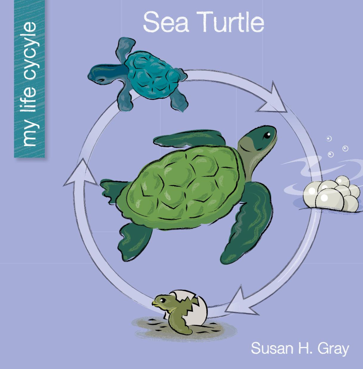 Sea Turtle Susan H Gray