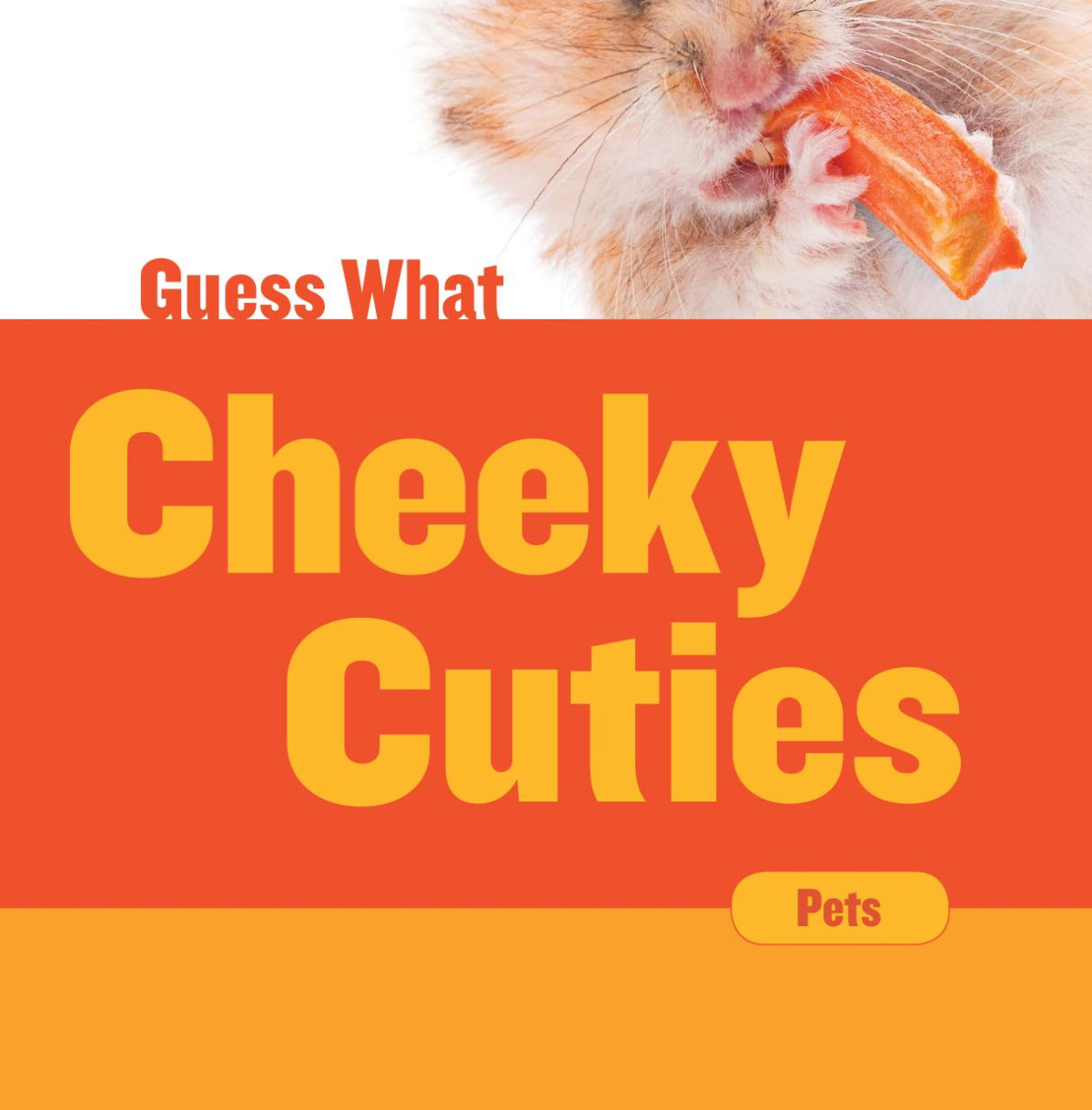 Cheeky Cuties Hamster Felicia Macheske