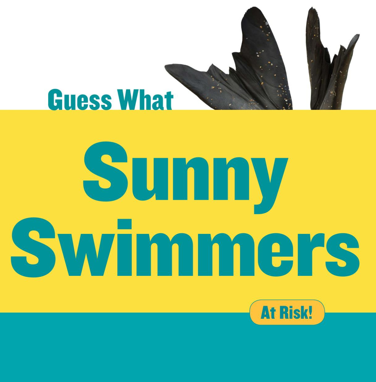 Sunny Swimmers Monk Seal Felicia Macheske