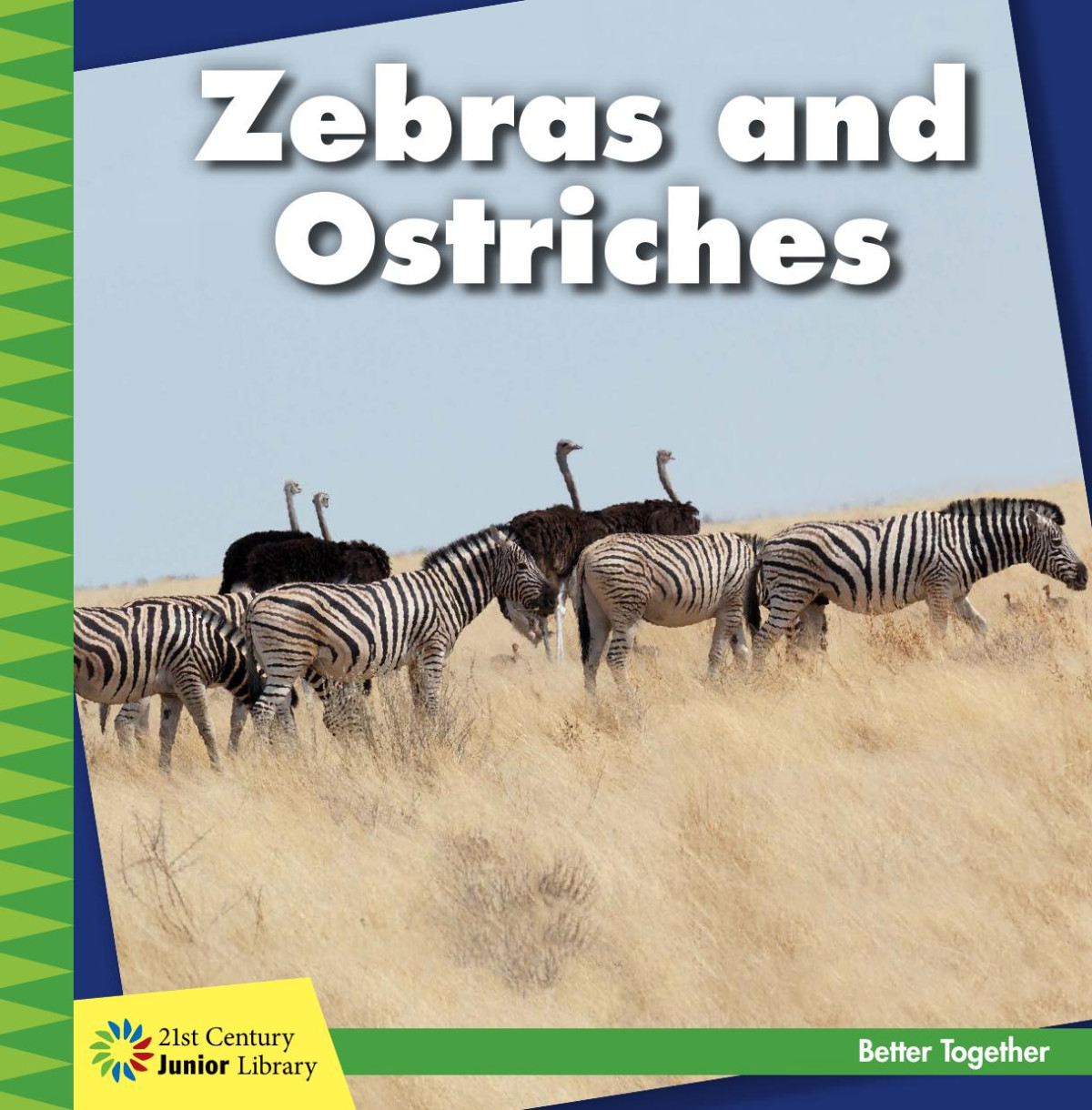 Zebras And Ostriches Kevin Cunningham