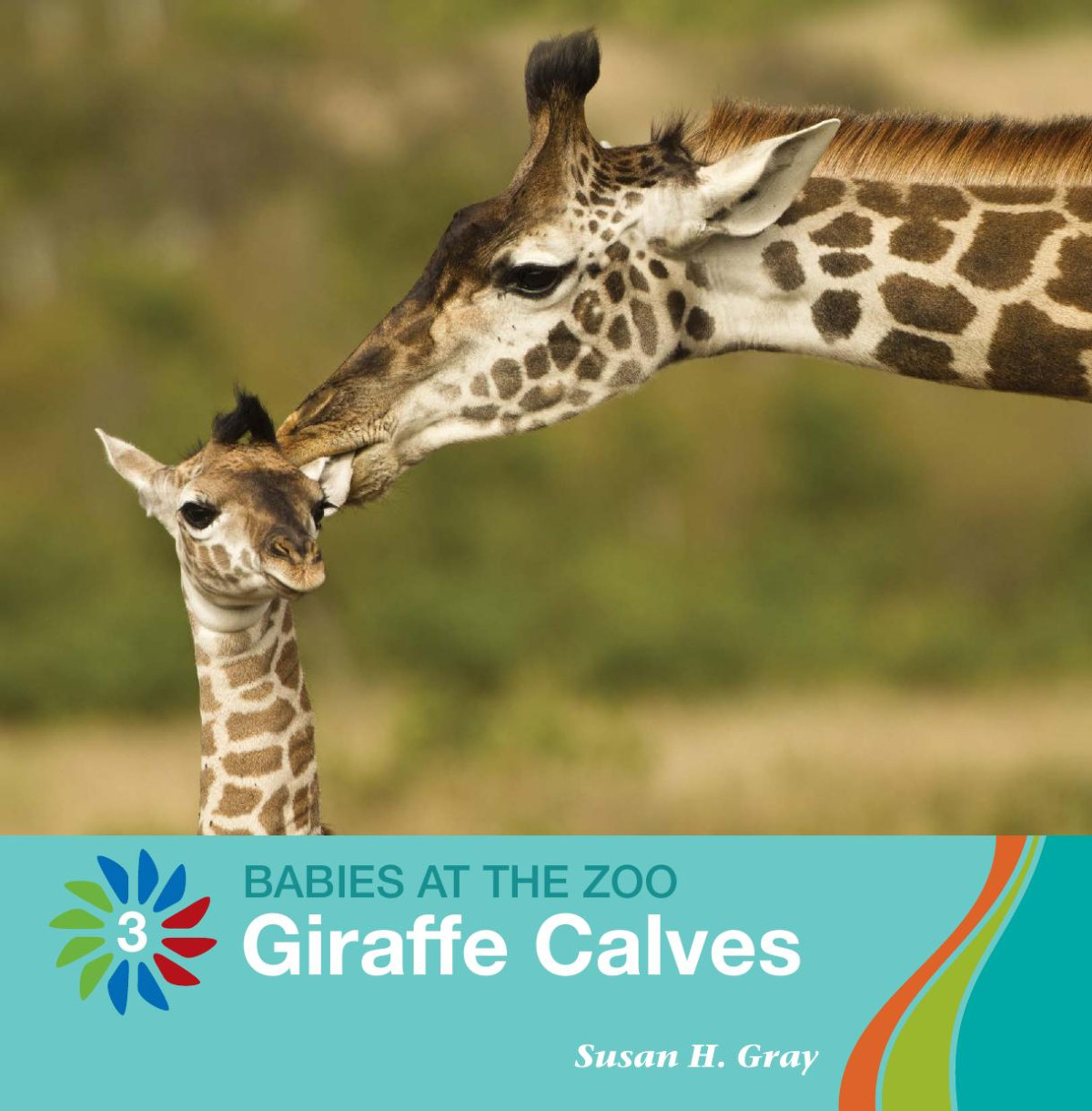 Giraffe Calves Susan H Gray