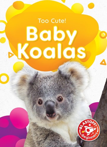 Too Cute Baby Koalas Rebecca Sabelko