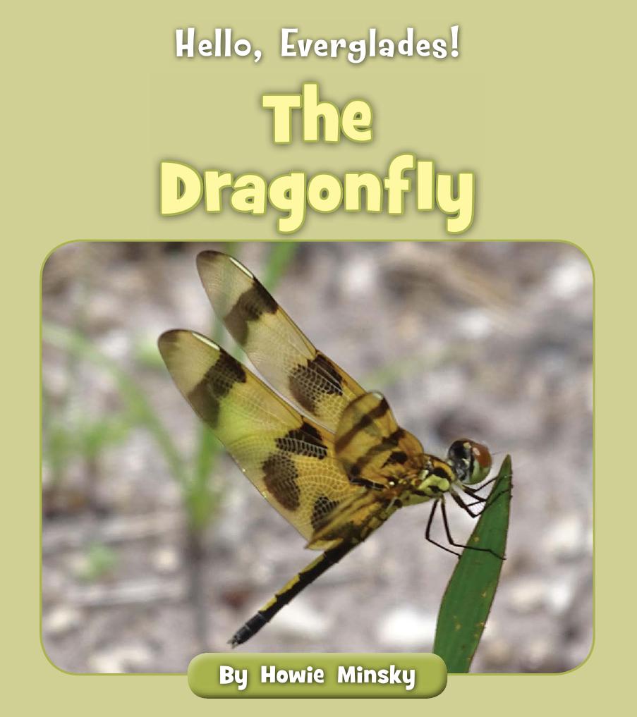 The Dragonfly Howie Minsky