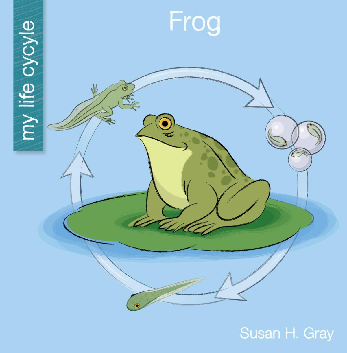 Frog Susan H Gray
