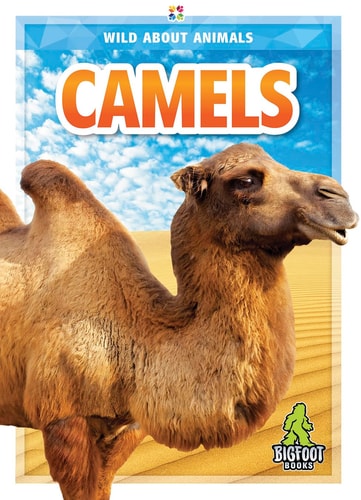 Camels Rhonda E Nichols