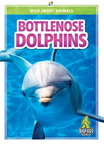 Bottlenose Dolphins Renata Marie