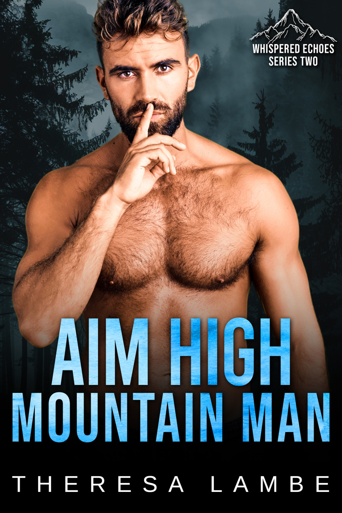 Aim High Mountain Man Whispered Echoes Season 2 A Wounded Mountain Man Series Theresa Lambe