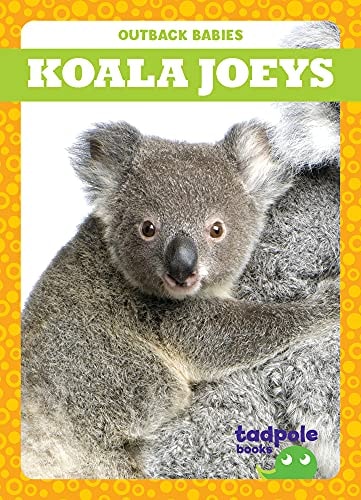 Koala Joeys Tadpole Books Genevieve Nilsen