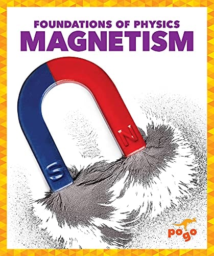 Magnetism Pogo Books Anita Nahta Amin