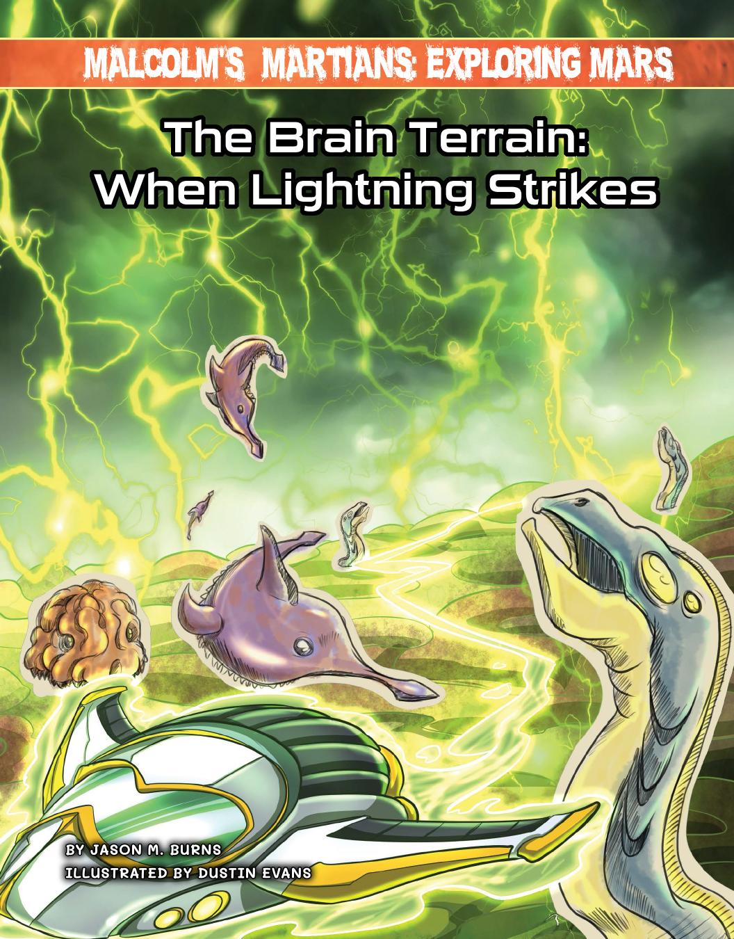 The Brain Terrain When Lightning Strikes Jason M Burns