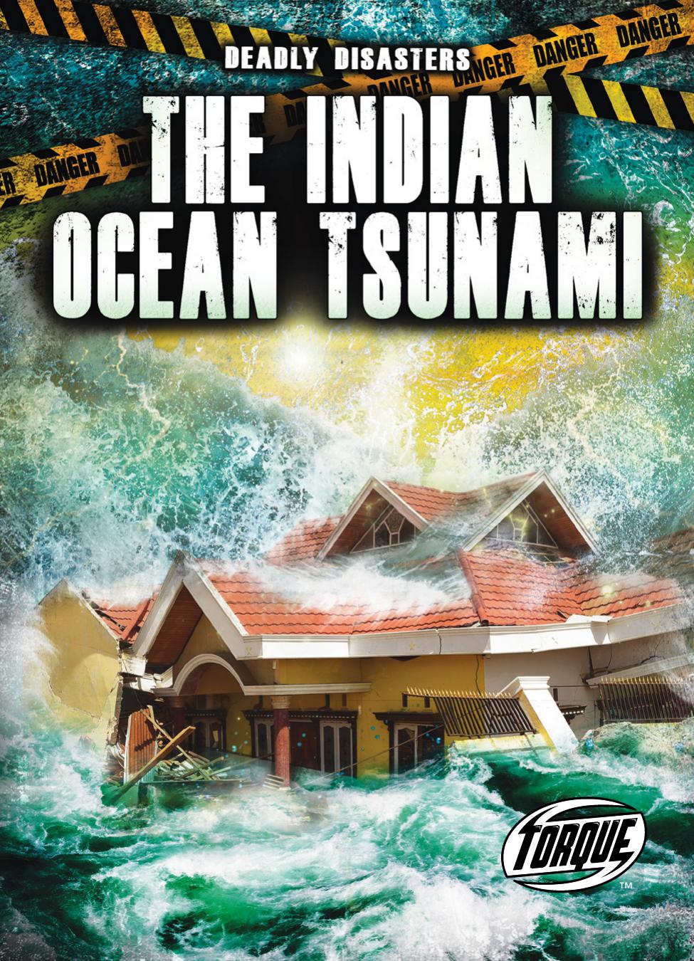 The Indian Ocean Tsunami Thomas K Adamson