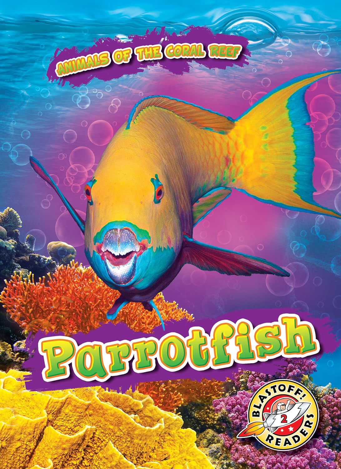 Parrotfish Kate Moening