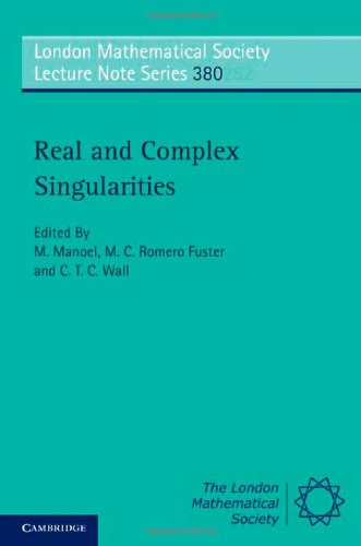 Real And Complex Singularities 1st Edition M Manoel M C Romero Fuster