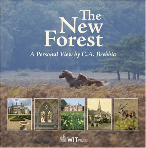 The New Foresta Personal View By C A Brebbia 2nd C A Brebbia