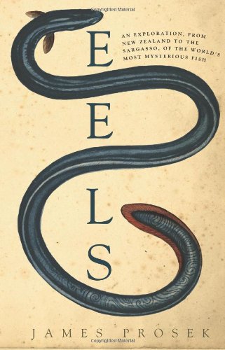 Eels An Exploration From New Zealand To The Sargasso Of The Worlds Most Mysterious Fish James Prosek